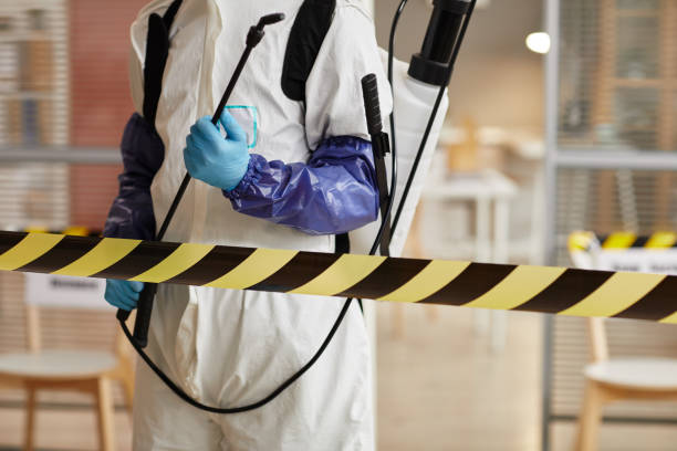Professional Hoarding Cleanup technician working in Davis, CA